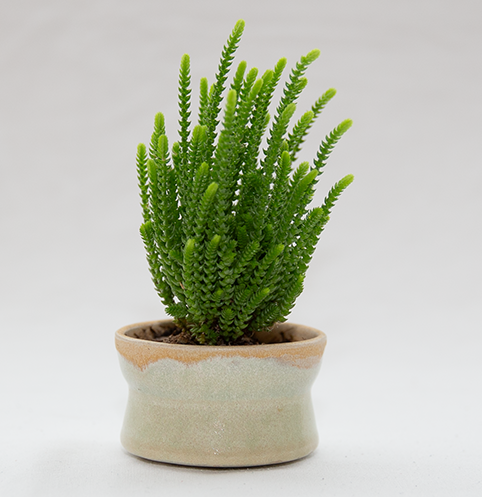Keramikblumentopf mini